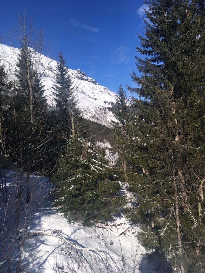 Les Pierres Blanches Mont Blanc Appartement Les Contamines-Montjoie Buitenkant foto