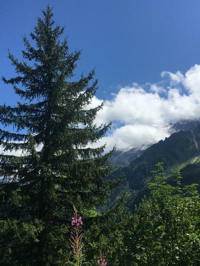 Les Pierres Blanches Mont Blanc Appartement Les Contamines-Montjoie Buitenkant foto