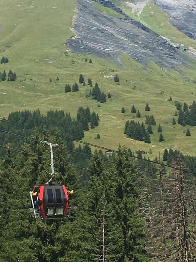 Les Pierres Blanches Mont Blanc Appartement Les Contamines-Montjoie Buitenkant foto